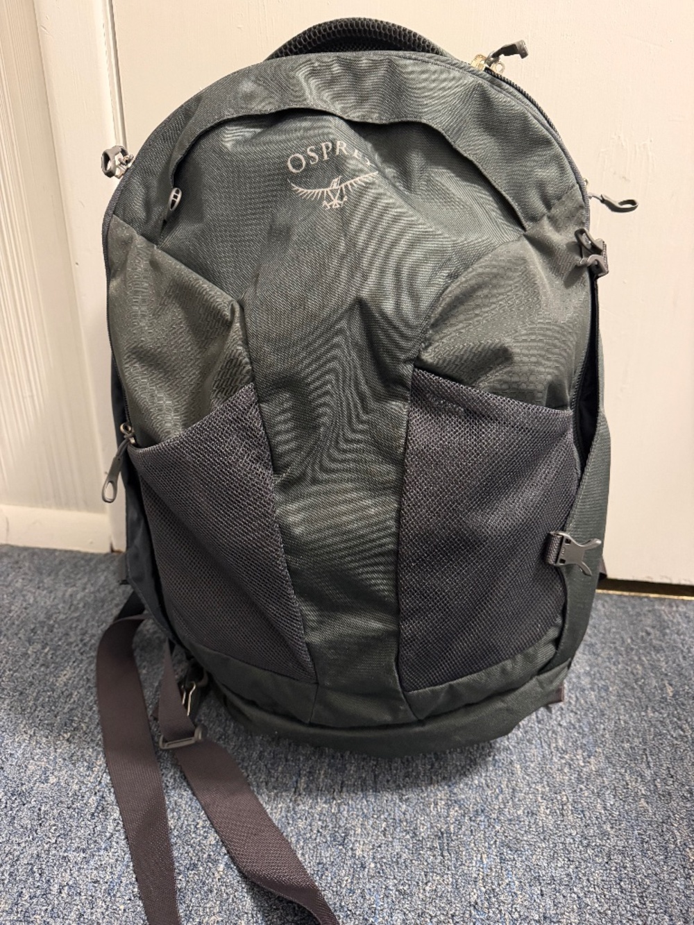 Osprey Farpoint 40 Travel Backpack